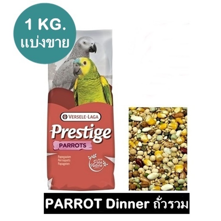 PLP PARROT Diner ถั่วรวม สำหรับ แอฟริกันเกร์ มาคอร์ อีเล็คครัส กระตั้ว แบ่งขาย 500 - 1 กิโลกรัม