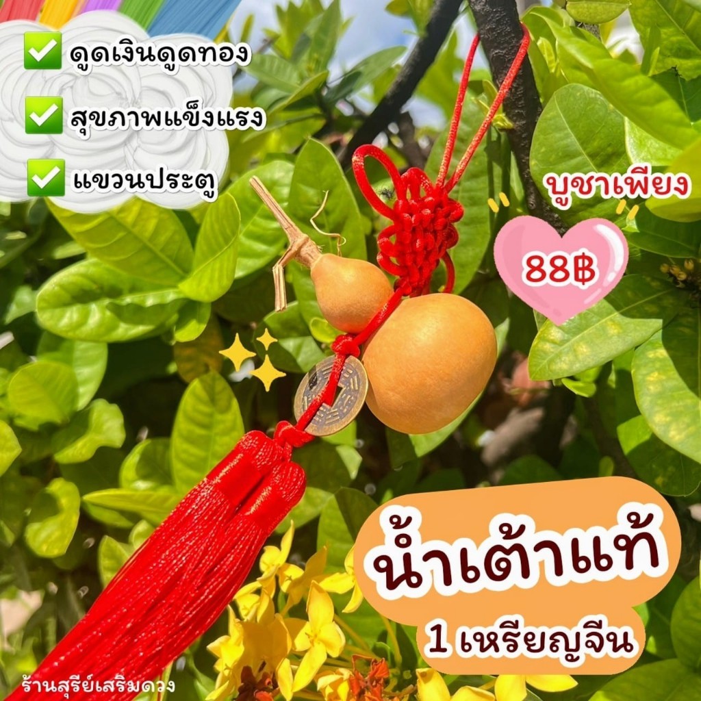น้ำเต้าแท้ 1 เหรียญจีน🔥ผ่านพิธี🔥บูชาแล้วได้คืน💯แก้ประตูตรงกัน ดูดเงินดูดทอง  ตกแต่งบ้าน น้ำเต้าแท้ น้ำเต้าดูดทรัพย์