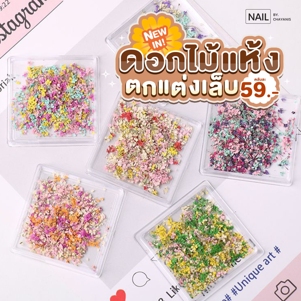 ดอกไม้แห้งสำหรับตกแต่งเล็บ ในตลับเหลี่ยมใส ตลับละ 59 บาท