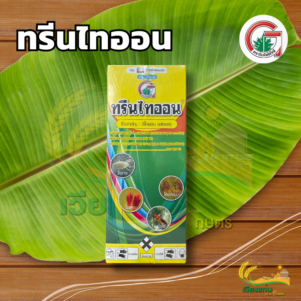 ทรีนไทออน กรีนลีฟส์ 1000 cc