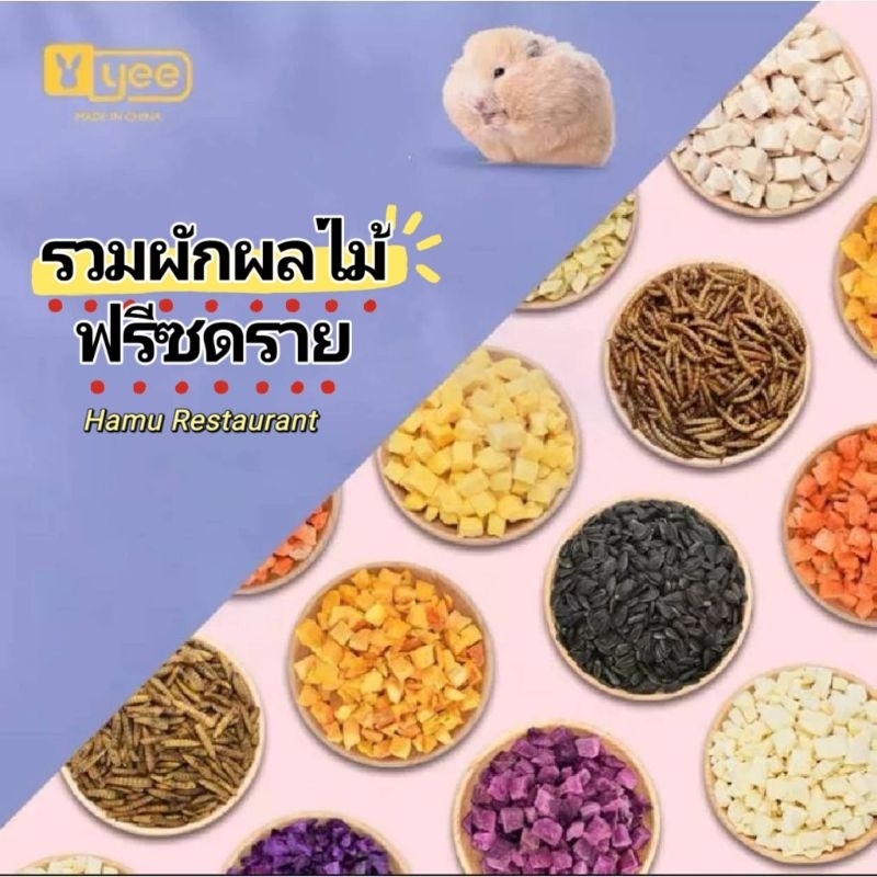 Hamu ❤️ Yee เข้าใหม่ รวมผักผลไม้ฟรีซดราย (ขั้นต่ำ 30 บาท) วันที่หน้าซองคือวันผลิต สำหรับแฮมสเตอร์ เม่นแคระ ชูก้า