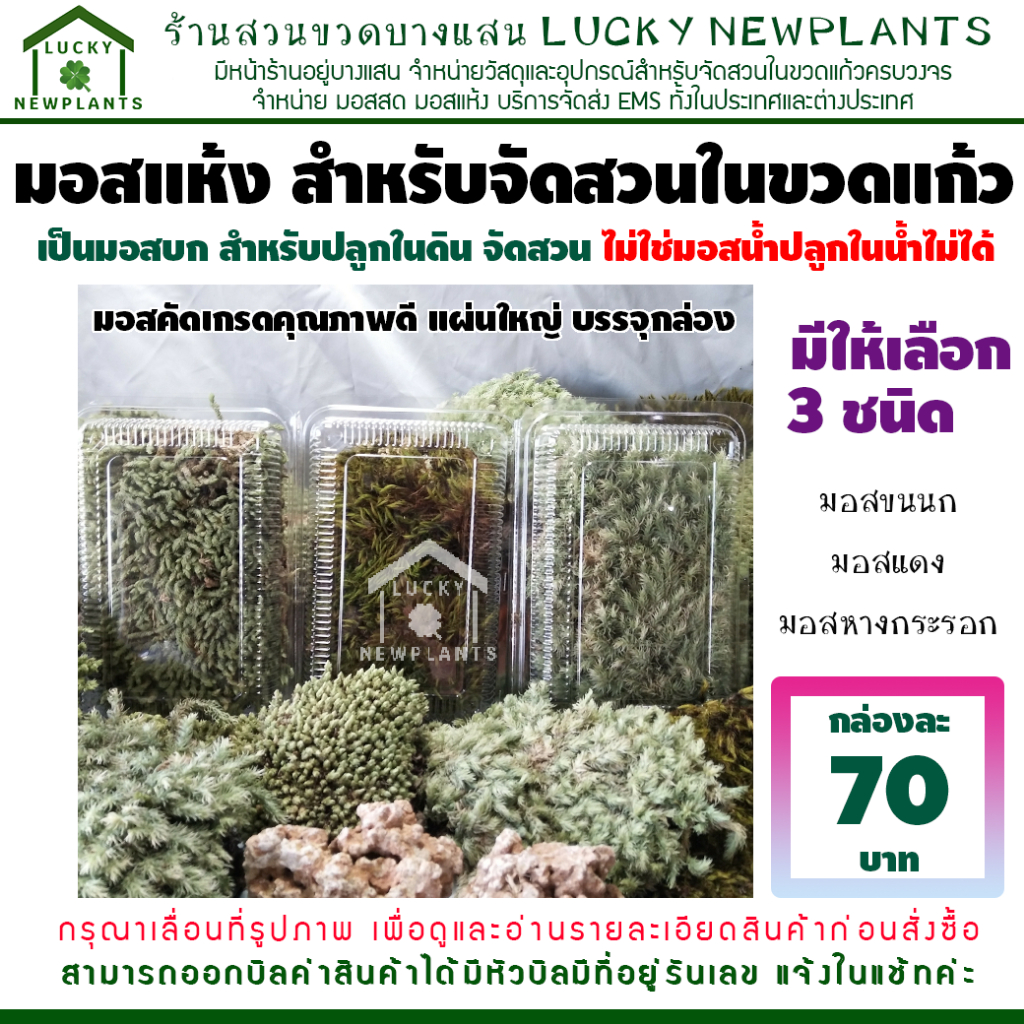 มอสแห้ง มอสจัดสวน กล่องละ 70฿ มีให้เลือก 3 ชนิด แถมฟรีคู่มือ