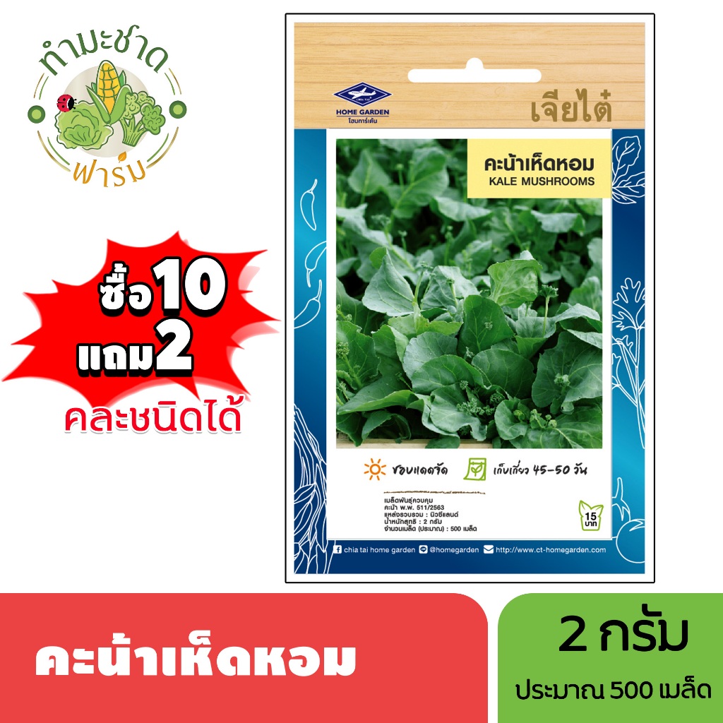 เจียไต๋ (ซื้อ10แถม2) เมล็ดพันธุ์ คะน้าเห็ดหอม ขนาด2กรัม ประมาณ500เมล็ด Mushrooms Kale คะน้า เมล็ดพันธุ์พืช เมล็ดผัก ปลูก