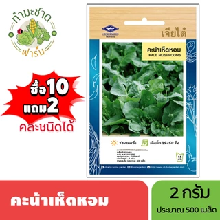 เจียไต๋ (ซื้อ10แถม2) เมล็ดพันธุ์ คะน้าเห็ดหอม ขนาด2กรัม ประมาณ500เมล็ด Mushrooms Kale คะน้า เมล็ดพันธุ์พืช เมล็ดผัก ปลูก