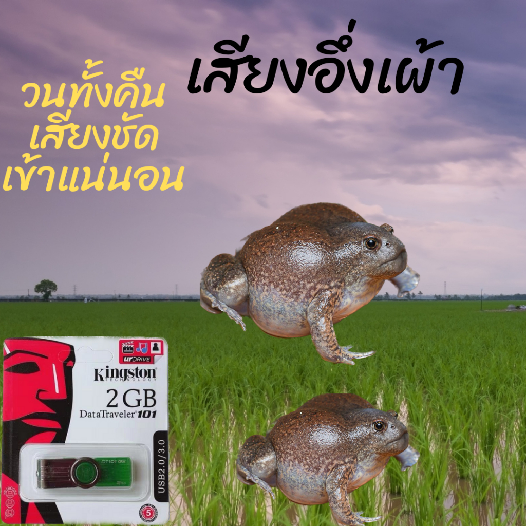 เสียงอึ่งเผ้า วนได้ทั้งคืนเปิดถึงเช้า เสียงคมชัด ในแฟลชไดร์ฟUSB