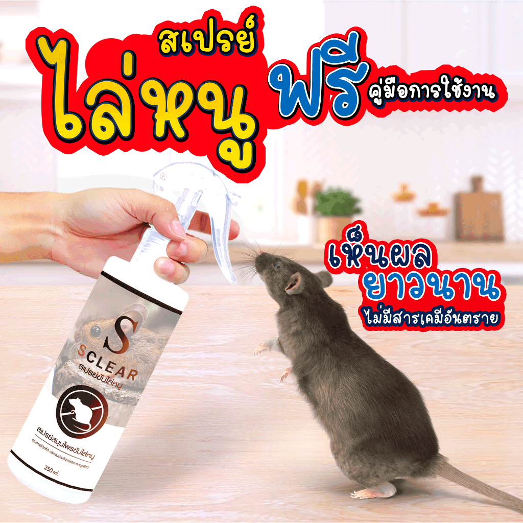 ไล่หนู สเปรย์ไล่หนู SCLEAR ไล่หนู ฟรี คู่มือการใช้งาน ฉีดไล่หนู (เก็บเงินปลายทาง ส่งไว) ไล่หนู