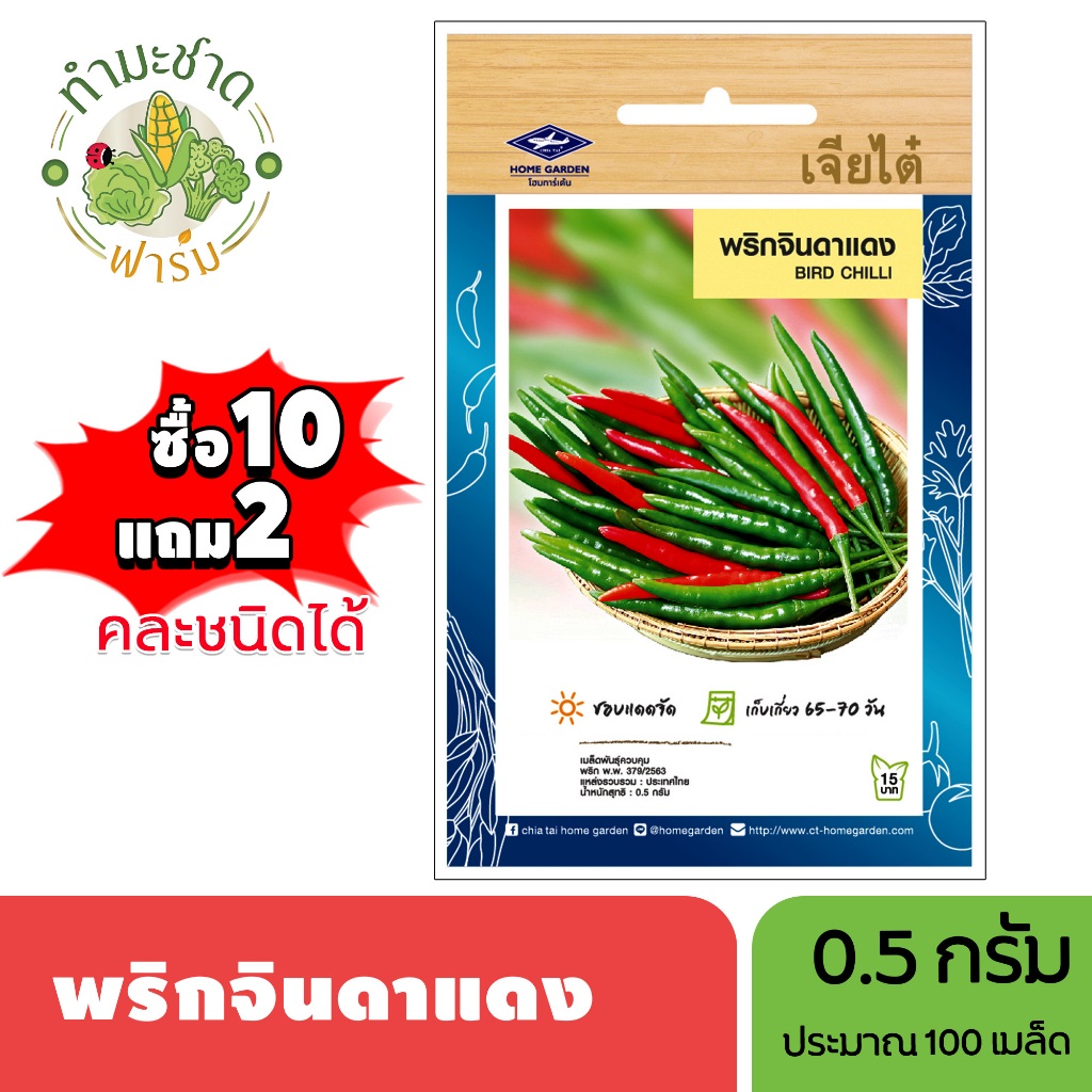 เจียไต๋ (ซื้อ10แถม2) เมล็ดพันธุ์ พริกจินดาแดง ขนาด0.5กรัม ประมาณ100เมล็ด Paprika Pepper Chilli พริก เมล็ดพันธุ์พืช เมล็ด