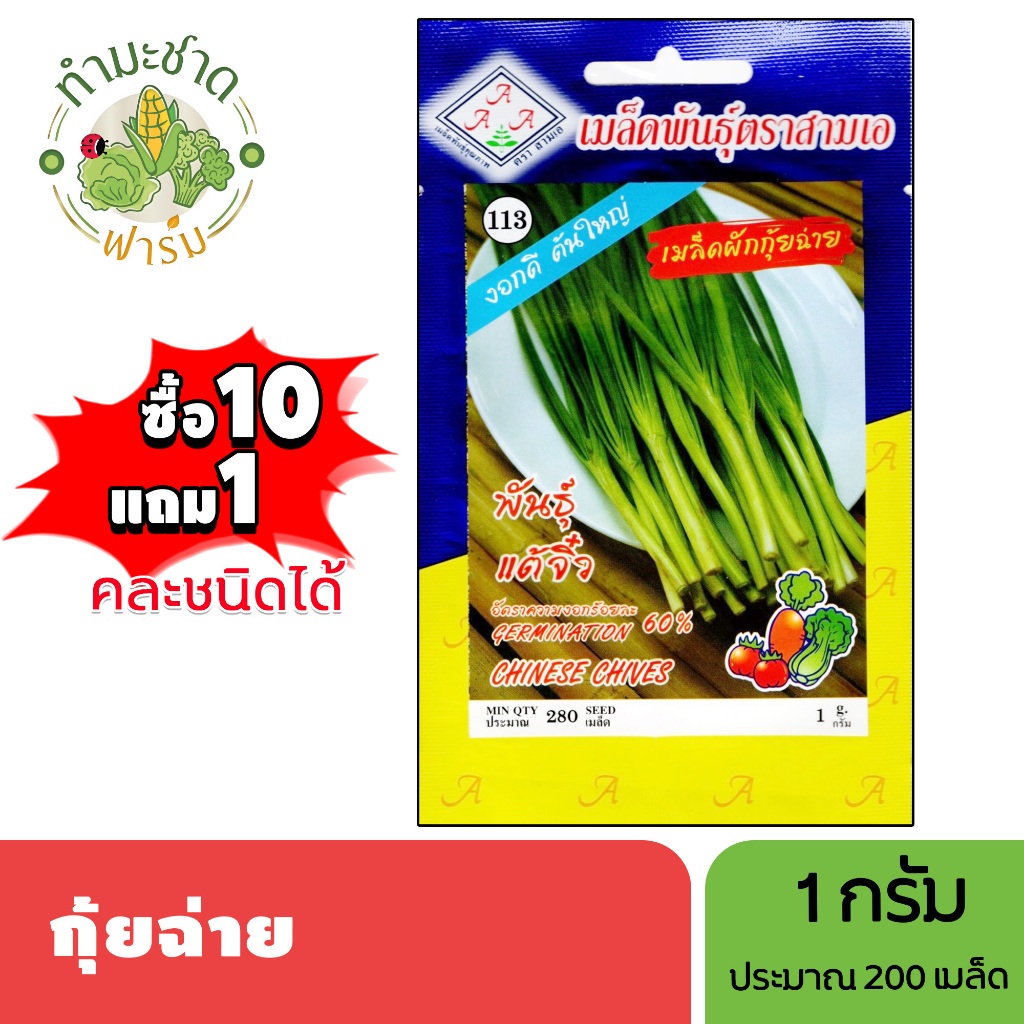 3A (ซื้อ10แถม1) เมล็ดพันธุ์ กุยช่าย ขนาด 1 กรัม ประมาณ 280 เมล็ด CHIVES กุ้ยฉ่าย เมล็ดพันธุ์พืช เมล็ดผัก ปลูกผักสวนครัว