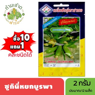 3A (ซื้อ10แถม1) เมล็ดพันธุ์ ซูกินีหยกบูรพา ขนาด2กรัม ประมาณ1…