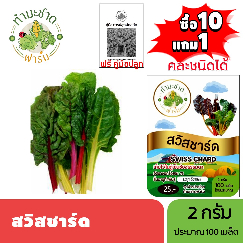 ทำมะชาดฟาร์ม (ซื้อ10แถม1) เมล็ดพันธุ์ สวิสชาร์ด ขนาด2กรัม ประมาณ100เมล็ด SWISS CHARD ผักสลัด เมล็ดพันธุ์พืช เมล็ดผัก