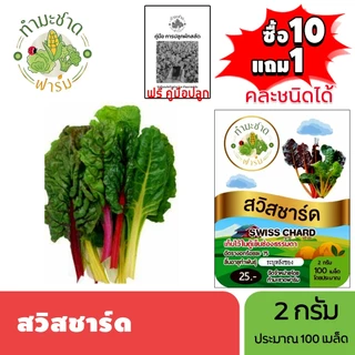 ทำมะชาดฟาร์ม (ซื้อ10แถม1) เมล็ดพันธุ์ สวิสชาร์ด ขนาด2กรัม ประมาณ100เมล็ด SWISS CHARD ผักสลัด เมล็ดพันธุ์พืช เมล็ดผัก