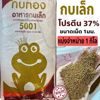 อาหารกบ กบเล็ก เม็ด จิ๋ว, เล็ก อาหารโปรตีนสูง 37% ตรา กบทอง 5001 ( 1 กิโลกรัม )