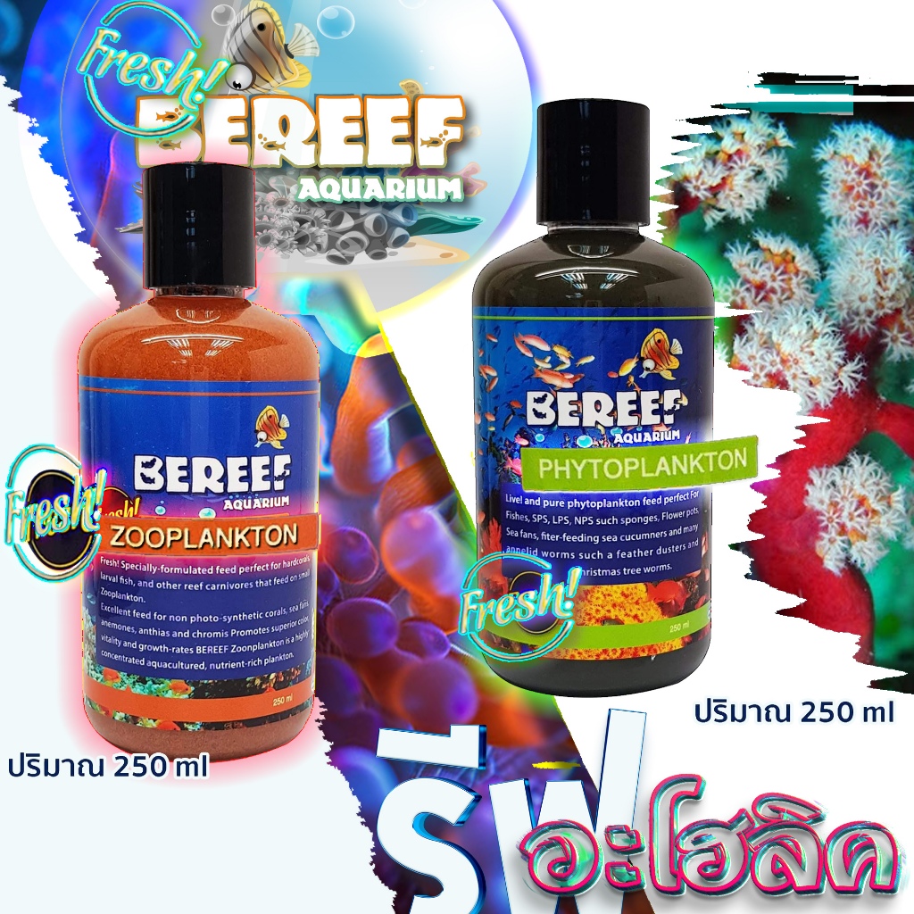 Reef-aholic Phyto / Zoo Plankton Bereef จับซูแพลงตอน และไฟโตแพลงตอน มาใส่ขวด พร้อมเสริฟ เปิด...หยด