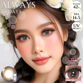 คอนแทคเลนส์🌈Always🌈 Brown / Gray (Luxzylens) ขนาดบิ๊กอาย💖