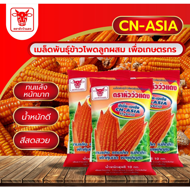 เมล็ดพันธ์ุข้าวโพด อาหารสัตว์ ตรา หัววัวแดง  บรรจุถุง 10 กก. ขนาดเมล็ด 3 หุน และ 3.5หุน (หมดอายุ ธ.ค. 2569)