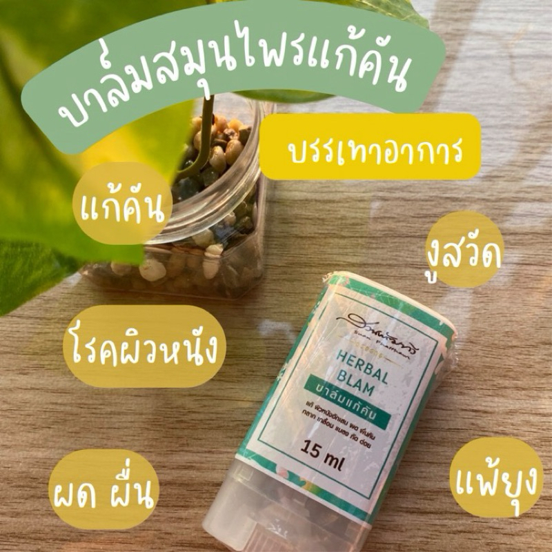 บาล์มสมุนไพรแก้คัน สวนพัฒทวี แก้คันเรื้อรัง โรคผิวหนังกลากเกลื้อน ลมพิษ เริม งูสวัด ผดผื่นคัน แพ้ยุง 15ml