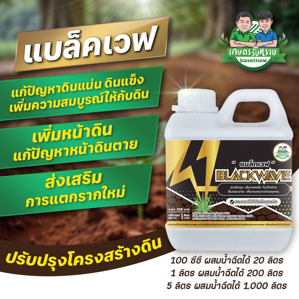 แบล็คเวฟ สารเร่งราก ปรับปรุงโครงสร้างดิน เกษตรรับทราบ