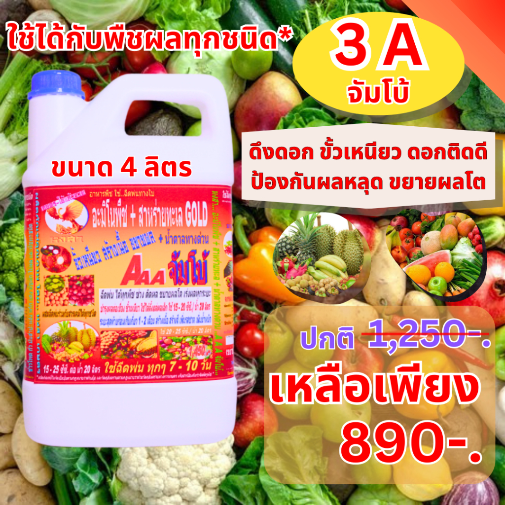 3A “จัมโบ้” ฉีดพ่นทางใบ สำหรับ “พืชผักทุกชนิด” ลดการใช้ปุ๋ยเคมี พืชสมบูรณ์ โตไว เขียวเร็ว ผลโต