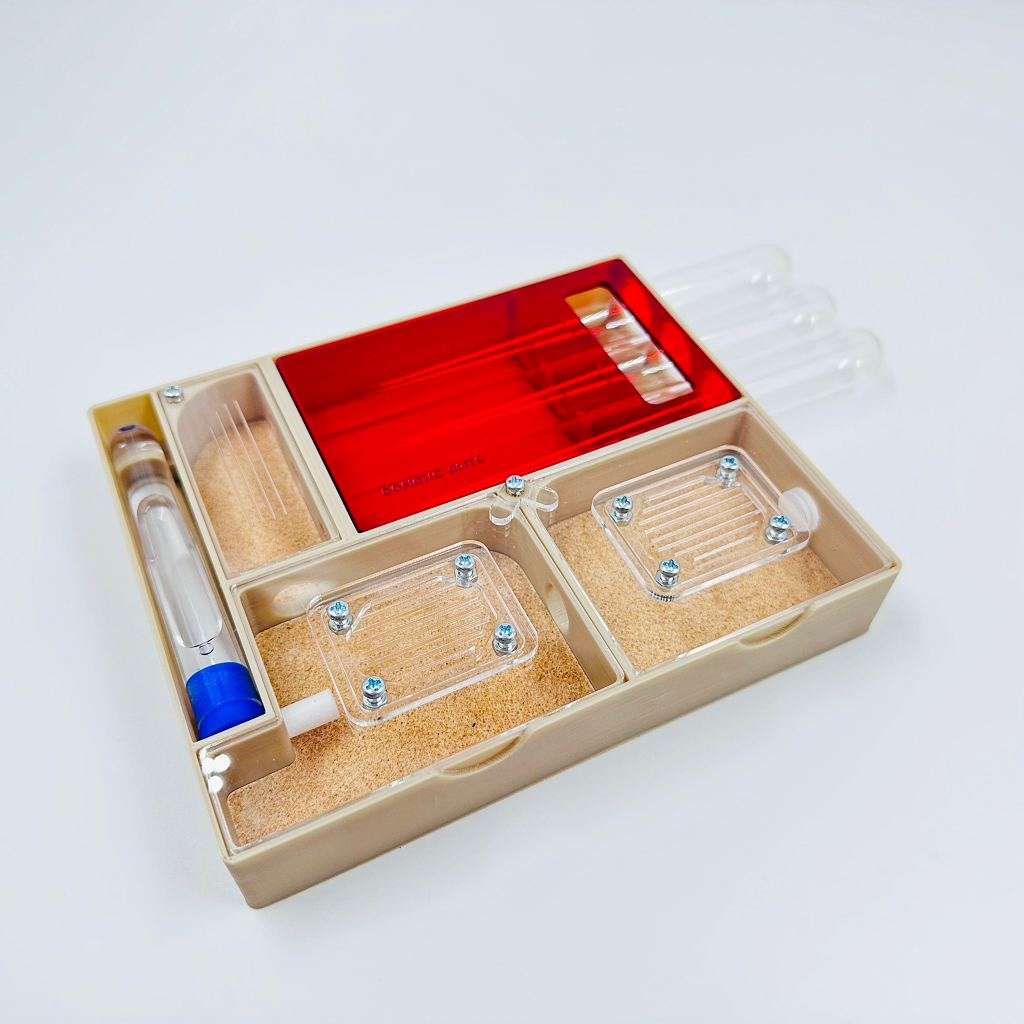 รังเลี้ยงมด 3D เริ่มต้น ขนาด L พร้อมหลอดทดลอง 3 หลอด Starter Ant Nest - Donatic Ants