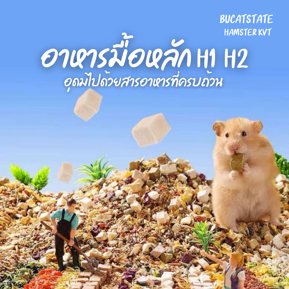 Hamster Kvt อาหารหนูแฮมสเตอร์ H1 H2 Bucatstate  อาหารมื้อหลักสำหรับสัตว์เลี้ยง