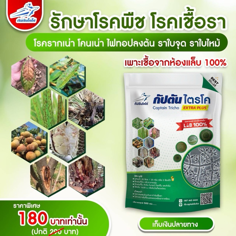 ไตรโคเดอร์มา สูตรเข้มข้น (check mark) หยุดทุกปัญหาโรคพืช