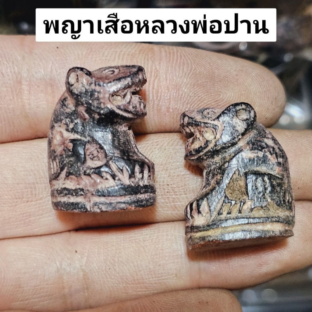 พญาเสือหลวงพ่อปาน วัดคลองด่าน สุดยอดเสือเนื้อว่านผสมผงไม้เนื้อกะลาตาเดียวและมวลสารต่างๆ