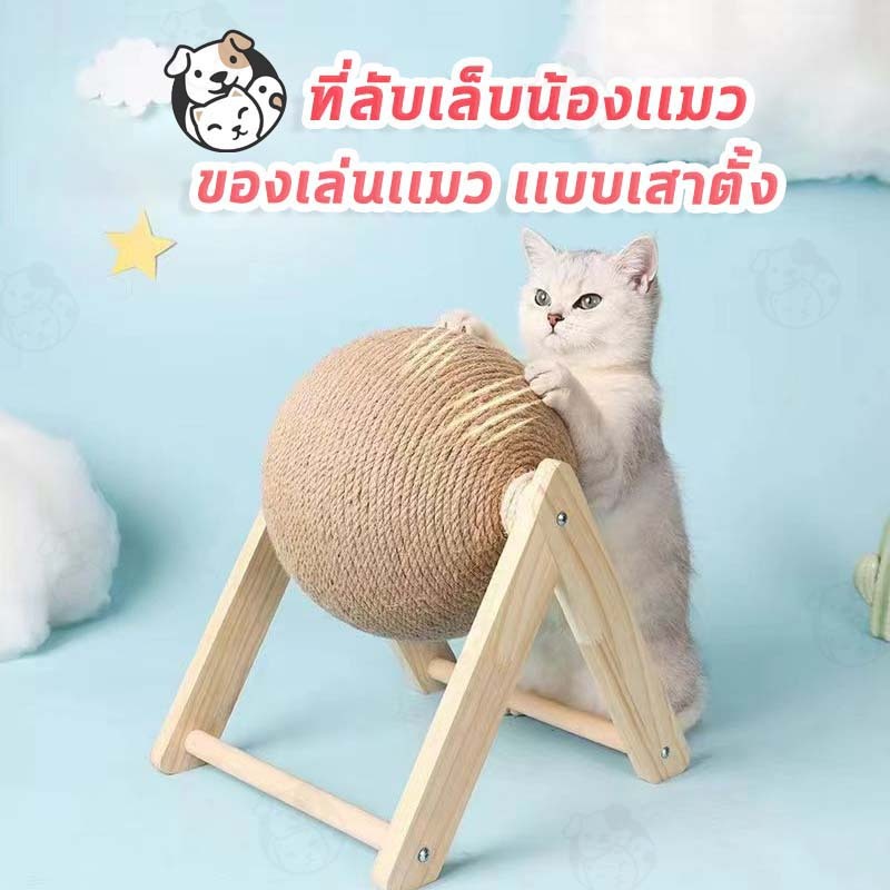 บอลลับเล็บ บอลลับเล็บแมว ที่ลับเล็บแมว ที่ฝนเล็บแมว ของเล่นแมว