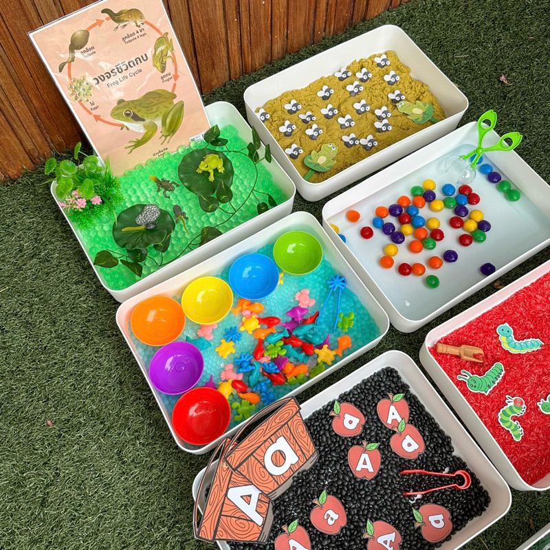 เปิดรับออเดอร์ชุดกิจกรรม Sensory Playยกเซ็ต ทั้งหมด 7 กิจกรรม