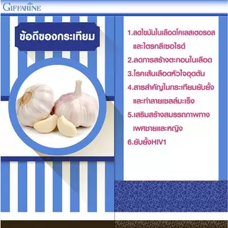กระเทียม กระเทียมเม็ด กระเทียมสกัดเย็น garlic กระเทียมกิฟฟารีน การ์ลิซีน กิฟฟารีน กระเทียมแคปซูล