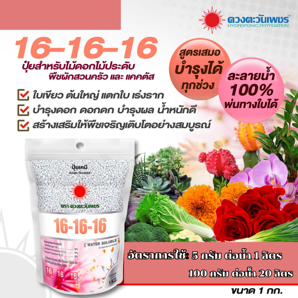 สูตรเสมอ 16-16-16 ดวงตะวันเพชร บำรุงราก ลำต้น ใบ ดอก ผล ใช้ได้ทั้งทางดินและพ่นทางใบ