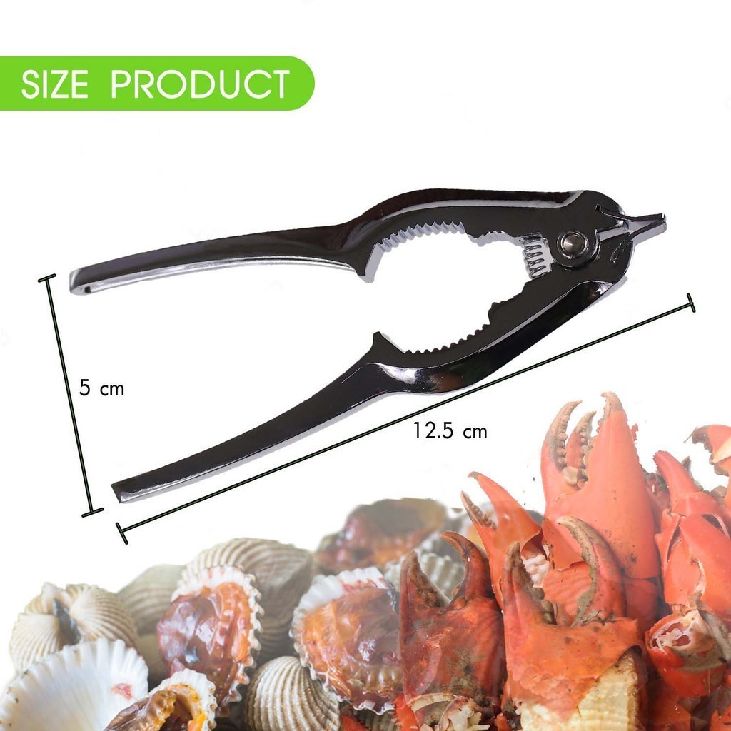 ที่แกะหอยแครง ที่หนีบปู คีมเปิดปากหอยแครง ที่แกะหอย อุปกรณ์แกะหอย สแตนเลสแท้ 100% หอยแครง เครื่องครัว แกะหอย - รูปที่ 6
