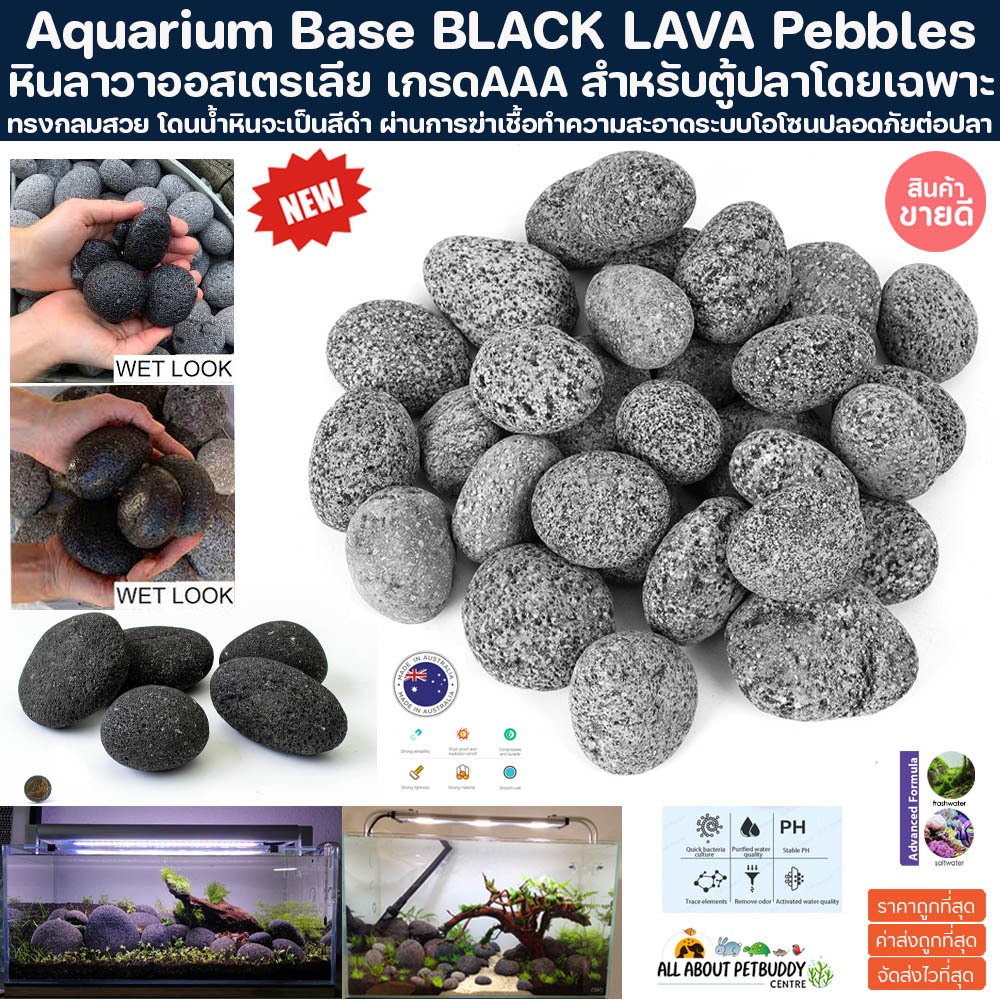 หินลาวาออสเตรเลีย BLACK LAVA หินไข่ลาวา หินจัดเลย์เอ้า หินตู้ปลา หินจัดสวน Layout ตู้ไม้น้ำ หินไข่ไดโนเสาร์ หินภูเขาไฟ