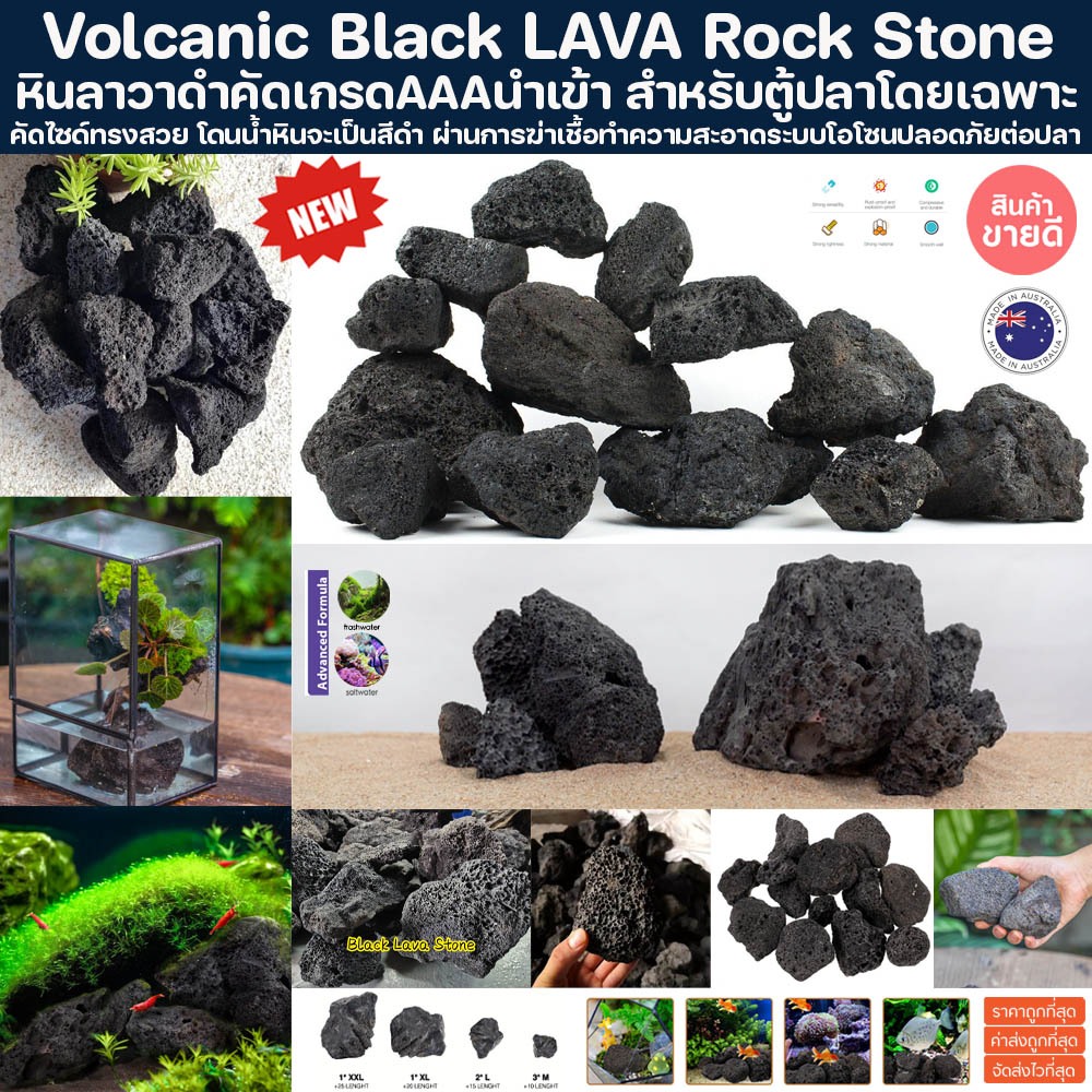 Volcanic Black LAVA Rock Stone หินลาวา หินภูเขาไฟ สีดำ หินจัดเลย์เอ้า หินตู้ปลา หินจัดสวน Layout ตู้ไม้น้ำ ตู้ปลา ลาวา