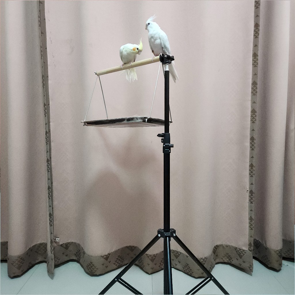 คอนนกแบบขาตั้ง มีถาดรองสแตนเลส ถอดมาตั้งโต๊ะได้ สำหรับนกขนาดเล็กถึงขนาดกลาง น้ำหนักเบา ขนย้ายสะดวก