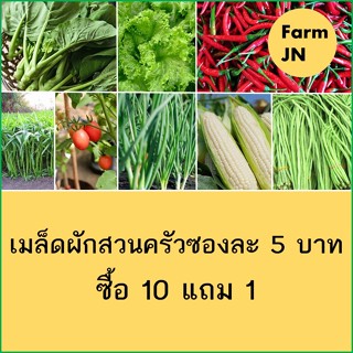 10แถม1 เมล็ดพันธุ์ผัก เมล็ดผักสวนครัว ปลูกง่ายโตไว เมล็ดผักใ…
