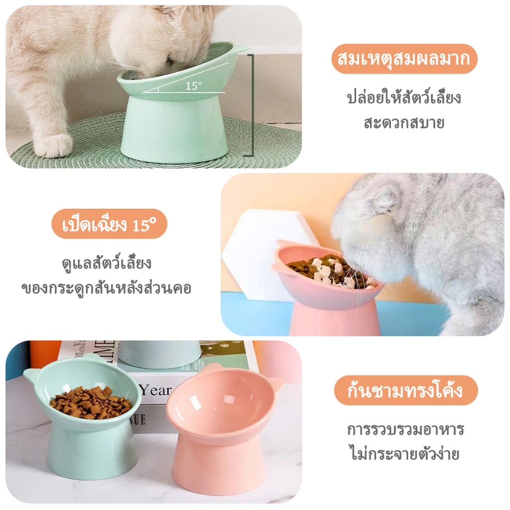 ชามอาหารแมว ชามข้าวหมา ชามแมวยกสูง ชามกันมด วัสดุสแตนเลสภายใน - รูปที่ 7