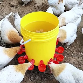 แพ็ค6ชิ้น💥ถ้วยให้น้ำไก่อัตโนมัติ​ น้ำเต็มถ้วยตัดเอง ถ้วยน้ำไก่ นิปเปิ้ลให้น้ำไก่