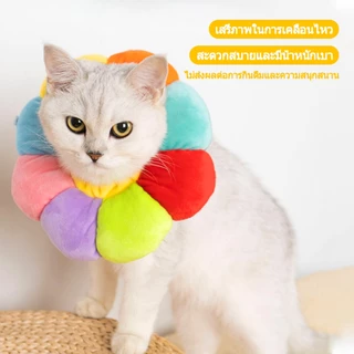 คอลล่าแมว กันเลียแมว ลําโพงแมว กันเลีย ลําโพงหมา ปอกคอแมว คอล่าแมว คอลล่าสุนัข คอลล่า คลอล่าแมว