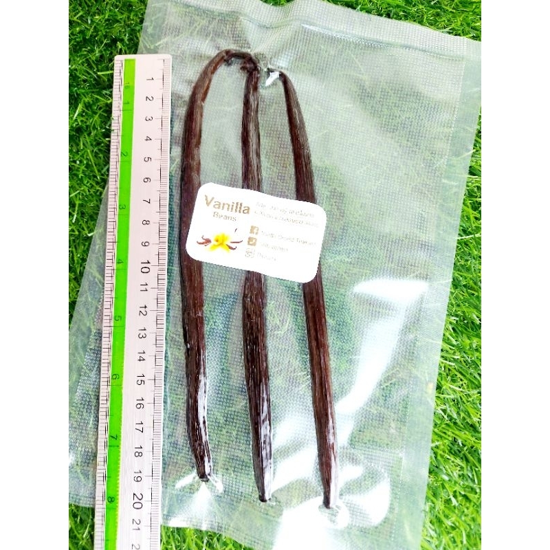 ฝักวานิลลา Planifolia ,Grade A+ , ยาว 18-22cm. ฝักอวบใหญ่ และฉ่ำมากๆ บรรจุ 3ฝัก/ถุง.