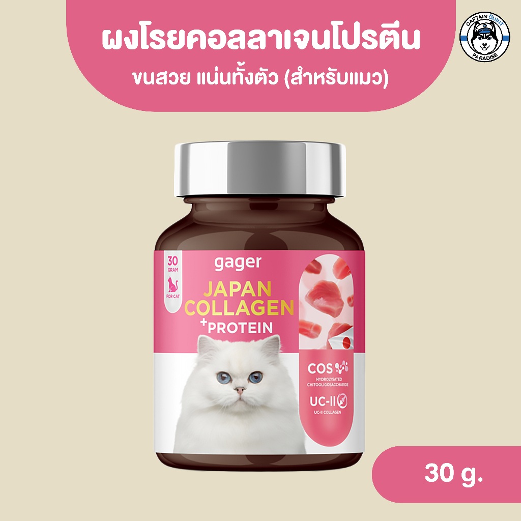 Gager (กาเจอร์) อาหารเสริมแมวอ้วน ผงคอลลาเจนแมว ผงโปรตีนเสริมสร้างกล้ามเนื้อทำให้อ้วนตุ๊บ