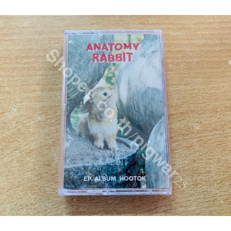 ‼️มีของพร้อมส่งทันที‼️ (Rare) เทป คลาสเซ็ต Anatomy Rabbit   Album: EP album hootok Condition :tape C