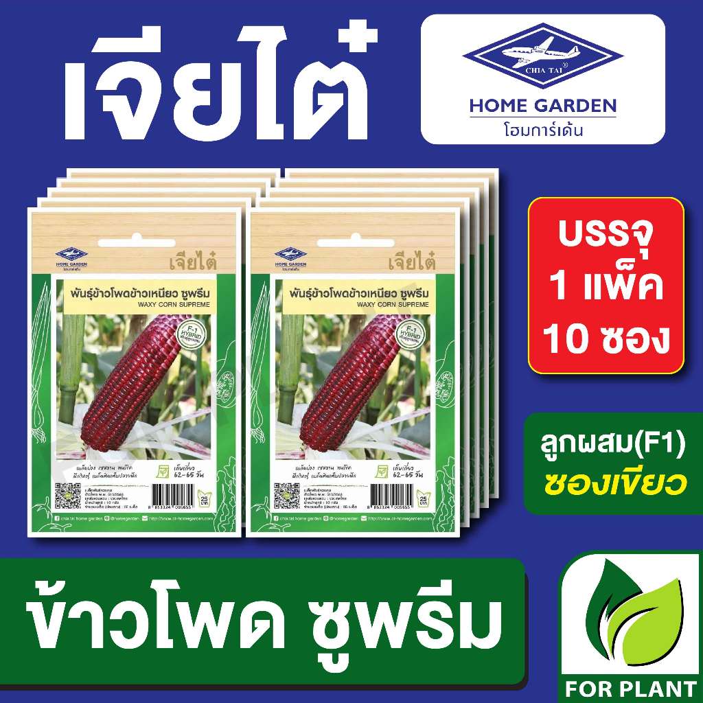 เมล็ดพันธุ์ ผักซอง ข้าวโพดข้าวเหนียว ซูพรีม ตราเจียไต๋ บรรจุแพคล่ะ 10 ซอง ราคา 180 บาท