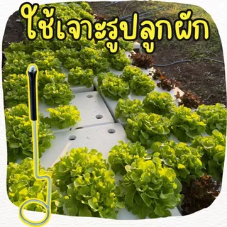 ที่เจาะรูกล่องโฟม เหล็กเจาะรูกล่องโฟม ที่เจาะรูปลูกผักไฮโดรโปนิกส์