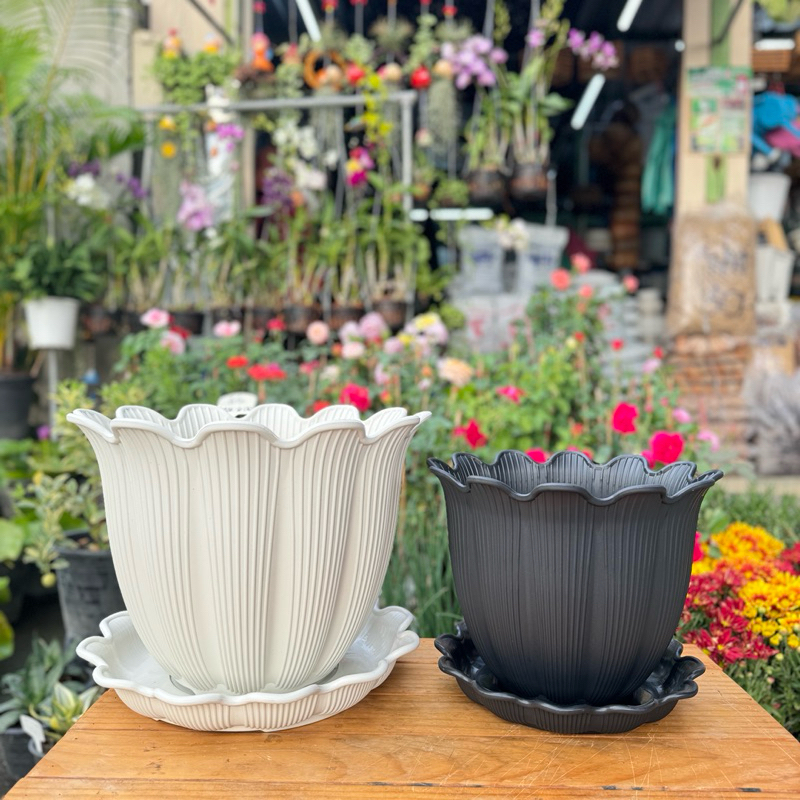 กระถางบิวตี้ฟลาวเวอร์  ขนาด 8-18 นิ้ว มีหลายสีให้เลือก