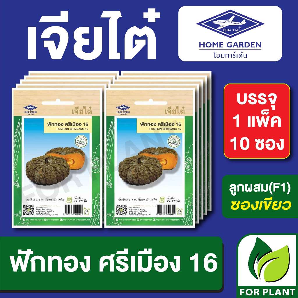 เมล็ดพันธุ์ ผักซอง ฟักทอง ศรีเมือง ตราเจียไต๋ บรรจุแพคล่ะ 10 ซอง ราคา 180 บาท