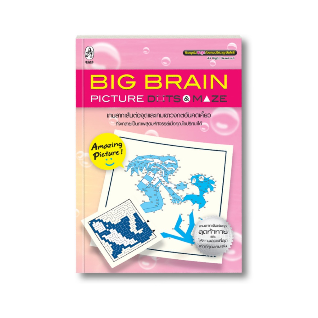 เกมต่อจุด ลากเส้น Big Brain Picture Dots & Maze (สภาพ 70%)