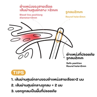 Winky Wink กรรไกรตัดเล็บ สําหรับสัตว์เลี้ยง สุนัข แมว กระต่าย