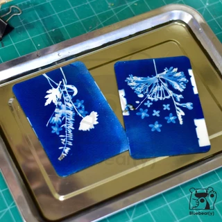 ชุดน้ำยาไซยาโนไทป์ Cyanotype แถมฟรีตัวอย่าง ภาพพิมพ์แสงอาทิตย์ทำเองได้ที่บ้านพร้อมคู่มือ