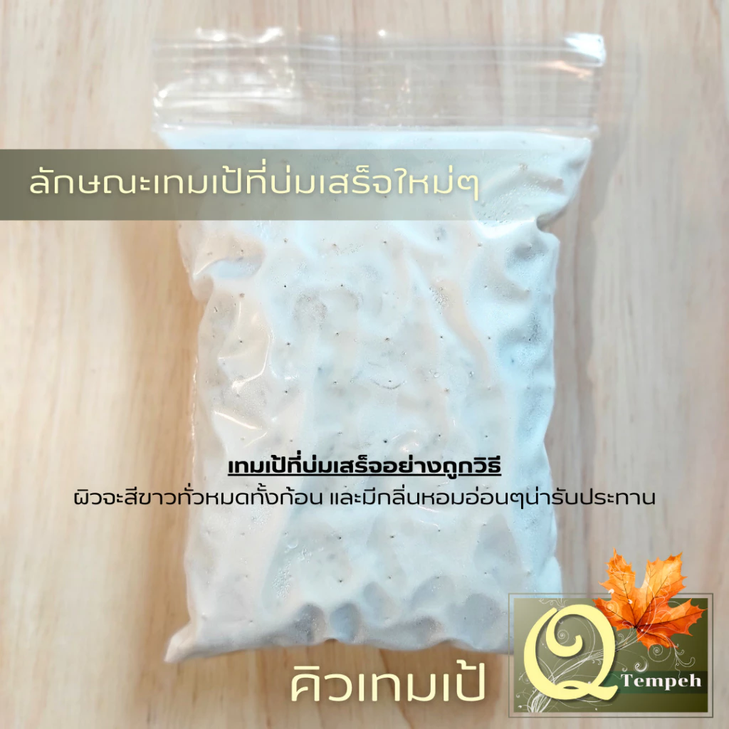 เทมเป้ถั่วเหลืองล้วน (200g-1kg) โปรตีนพืช บ่มง่าย สดใหม่ทุกคำสั่งซื้อ ได้คุณประโยชน์จากโพรไบโอติกส์ thumbnail 6