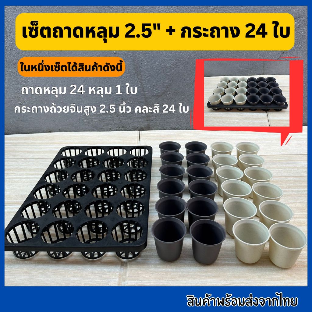 เซ็ตถาดหลุมพร้อมกระถาง2.5นิ้ว 3นิ้ว 4นิ้ว